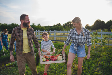 Obraz premium Group of neighbors gardening and collecting organic produce outdoors.