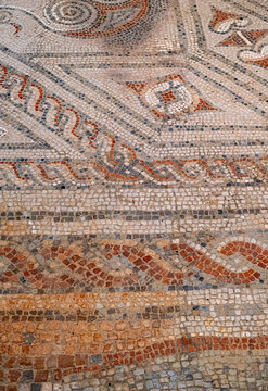 Mosiacs & Hypercourse At Chedworth Roman Villa