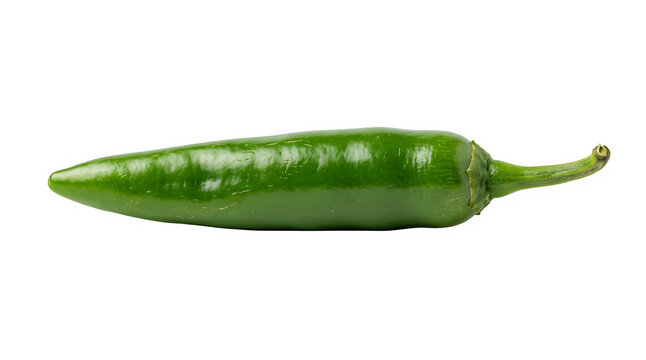 A single fresh green serrano chili pepper isolated on transparent background