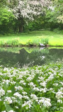 Enjoying a peaceful day by the pond with flowers and trees in the park