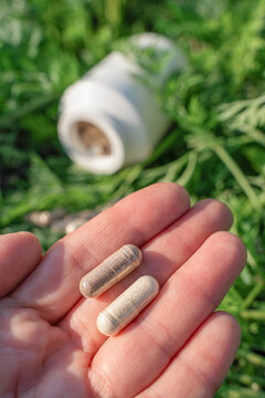 Hand holding two natural herbal capsules from an overturned container on green grass, representing healthy lifestyle and organic nutrition