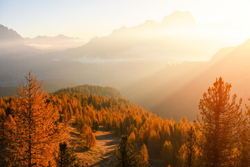 Naklejka premium Sun rays stream through mountain haze above golden larch forests in the Dolomites. Atmospheric autumn landscape with warm backlight and layered alpine ridges