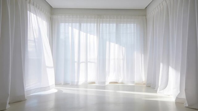 Shifting sunlight sliding across sheer curtains in bright empty room, showing window muntin shadows