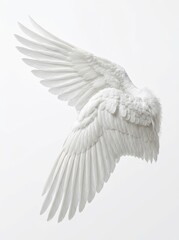 Naklejka premium Large White Angel Wings Isolated on White Background - Detailed Feather Texture for Design and Composite