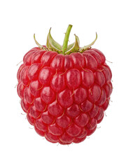 Single ripe red raspberry fruit isolated on a clean white background © maximon4ik