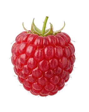 Single ripe red raspberry fruit isolated on a clean white background