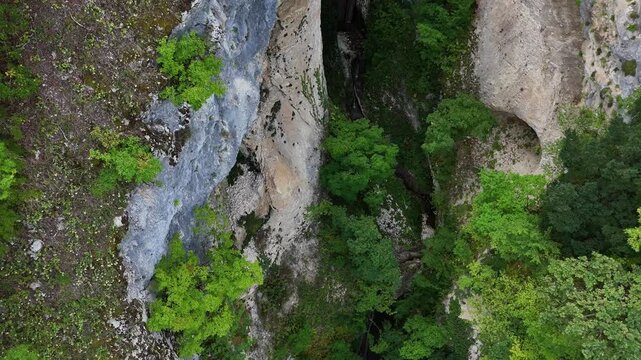 Aerial top down view of a deep mountain canyon with lush green trees and steep rocky cliffs slowly moving forward revealing the natural gorge landscape