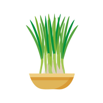 Lemongrass, simple flat 2D artwork with minimal details, isolated on a white background.