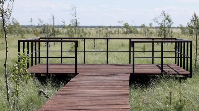Empty wooden observation deck with metal railings at the end of a trail overlooking a green wetland marsh