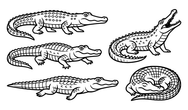 Untitled design Cute crocodile cartoon vector set with walking swimming crawling and resting reptile characters