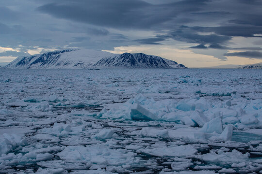 Arctic landscape featuring floating sea ice and snow-covered mountains under an overcast sky, landscape