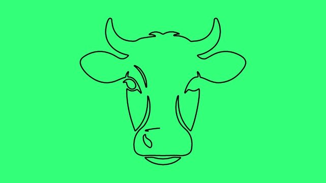 Minimalist continuous line cow head animation on green screen background.