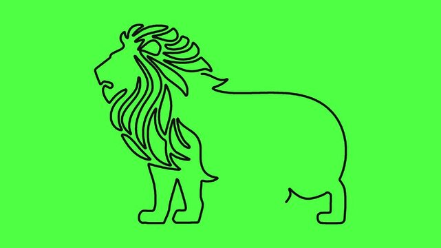 Minimalist lion line art drawing animation on green screen background.