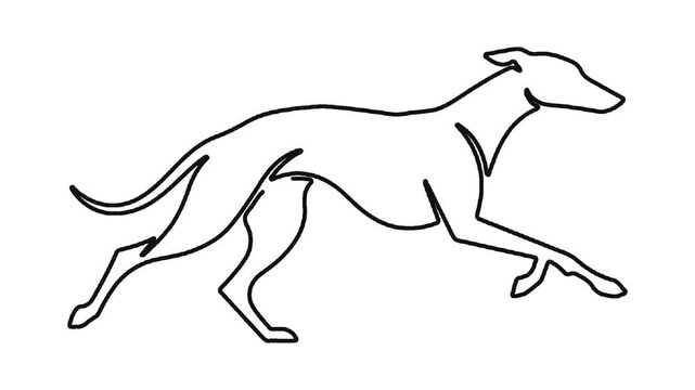 Continuous line drawing of a greyhound dog running on white background.