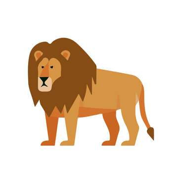 Lion, modern flat 2D illustration with clean simple shapes, isolated on a white background.