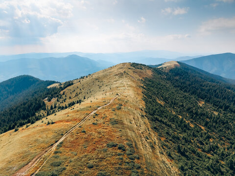 Scenic aerial view of a narrow hiking trail crossing a golden grassy ridge surrounded by evergreen forest and layered mountain peaks.