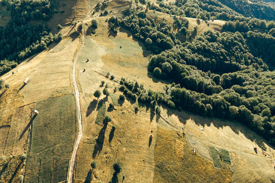 Top-down aerial landscape of rural mountain meadows, dirt tracks, scattered traditional buildings and dense woodland illuminated by warm evening sunlight.