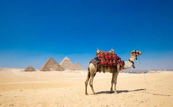 pyramids with a beautiful sky of Giza in Cairo, Egypt.