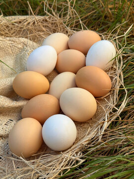 Eggs dozen free range country chicken eggs vertical 