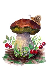 watercolor boletus with crawling snail and lingonberry bushes with red cranberry berries.Wild mushrooms.Forest plants.Autumn harvest.Watercolor Painting for planners,scrapbooking,stationery © Helen Pitt