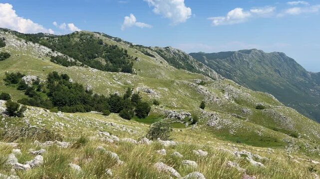 Mountain landscape with lush green meadows on a sunny summer day, majestic peaks under a clear blue sky and peaceful natural scenery