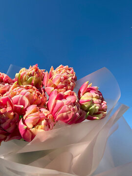 Bouquet of tulips spring double early flowers columbus