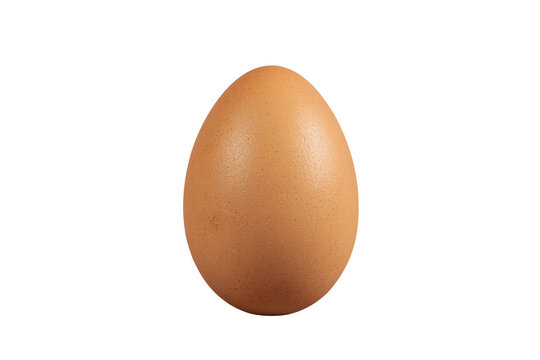 Single oval brown egg with subtle shell texture