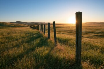 Obraz premium Golden hour in a sunlit grassy field with weathered fence posts and distant hills