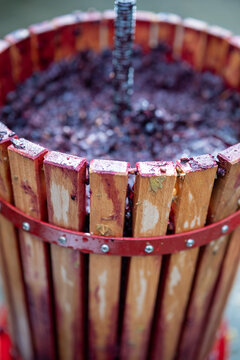 Vintner presents historic wooden wine pressing machinery amidst picturesque outdoor vineyard environment with red wine flowing