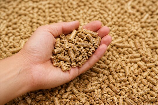 Hand holding wood pellets over bulk pellet pile on surface