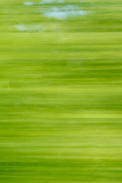 Blurred motion of green trees in motion. Fingers moving fast, creating blur. Nature blurred, motion captured. 
