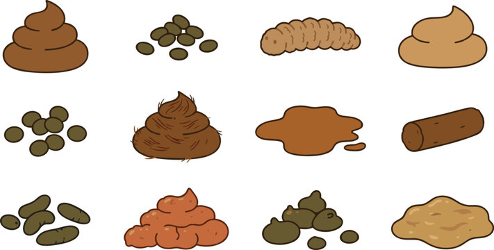 Bristol Stool Chart Vector Set Featuring Various Human Feces Types and Forms for Medical Infographics Health Diagnoses and Educational Digestive System Diagrams