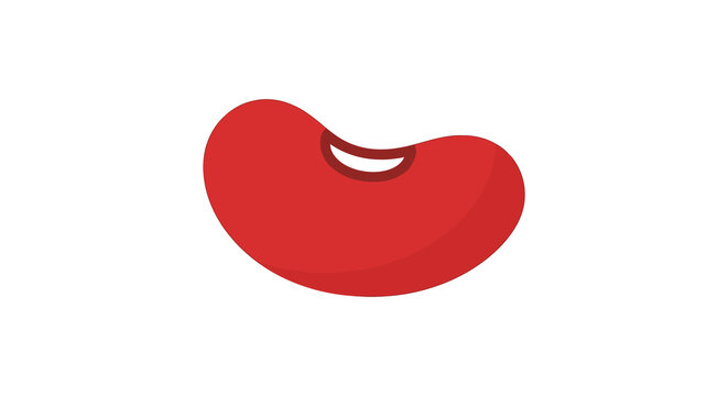 A red kidney bean illustration features a flat design on a white background