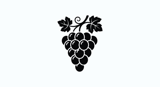 Black grape bunch silhouette against a white background a botanical illustration