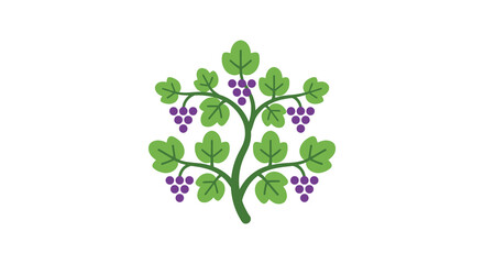 Obraz premium Green vine with purple grapes is a flat vector illustration on a white background