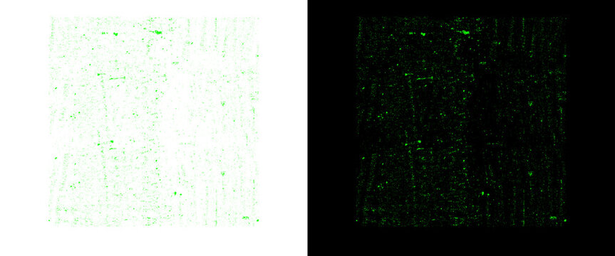 Green matrix digital rain texture, abstract cyber code background, futuristic data stream pattern on black and white