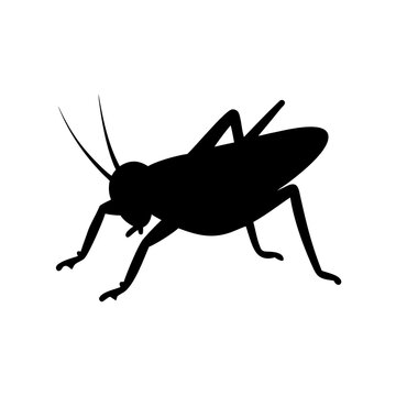 Black silhouette of a grasshopper or cricket insect icon, simple vector illustration on white background, nature bug design element.
