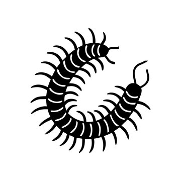 Curled Centipede Silhouette Vector a multi-legged insect bug, simple vector icon.