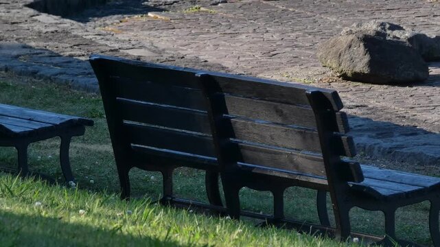 A park bench with long shadows stretching across the grass in the afternoon sun.
