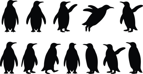 Collection of black vector penguin silhouettes in various standing and walking poses © MstSumona