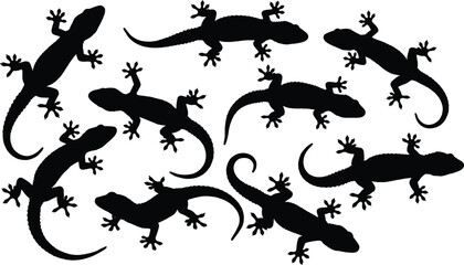 Fototapeta premium Collection of black vector gecko lizard silhouettes crawling in various poses for nature design