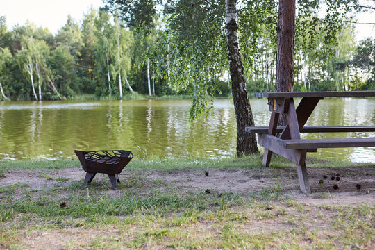 wooden bench in the park