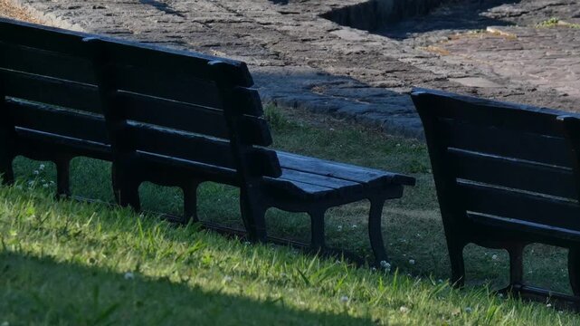 A park bench with long shadows stretching across the grass in the afternoon sun.
