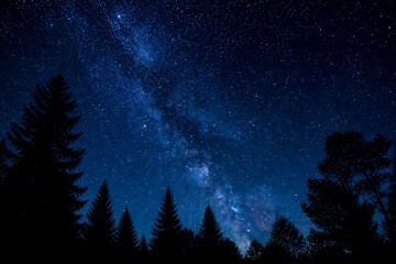 Fototapeta premium Milky way stretching over silhouetted pine forest at night