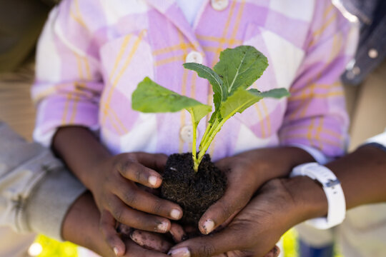 African American family holding small green seedling with soil in garden, youth wearing plaid shirt