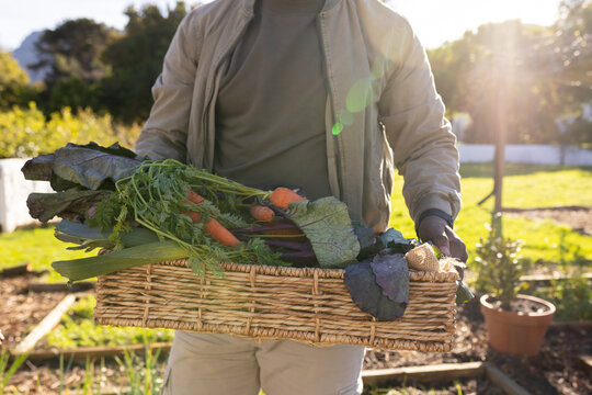 Adult African man holding wicker basket of carrots, leeks, greens in home garden wearing tan jacket