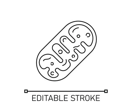 Black mitochondria icon, isolated monochromatic vector Editable Stroke