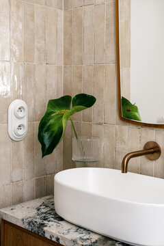 Modern white sink and washbasin in a hotel bathroom with plant and mirror