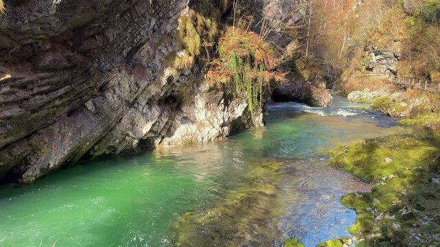 Stunning Vintgar Gorge revealing the pristine Radovna River with its turquoise water. Beautiful natural landmark in Slovenia during autumn