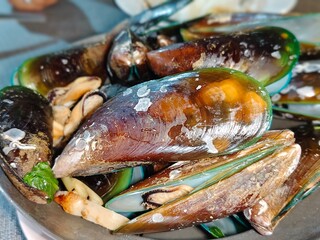 Delicious steamed mussels served on a plate. © satavasin